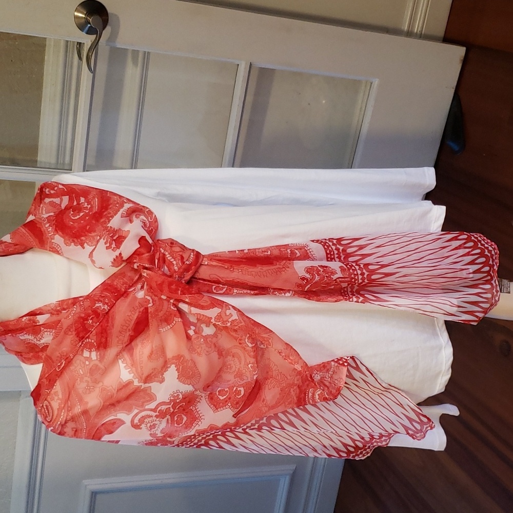 Raz silk chiffon scarf
